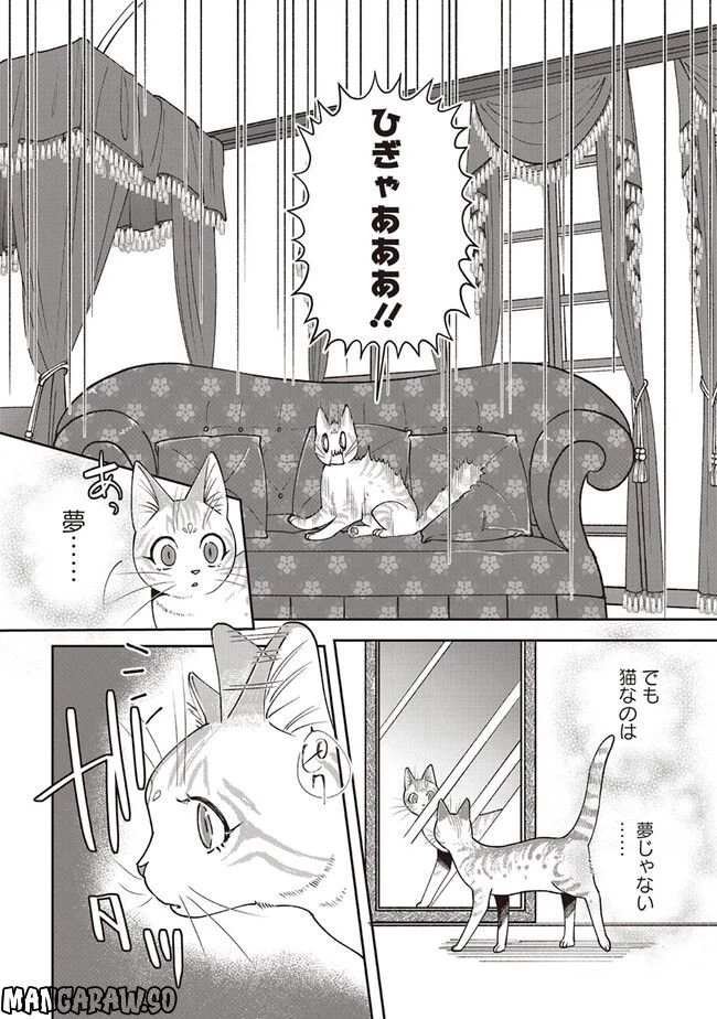 ページ 5 — 第2.1話