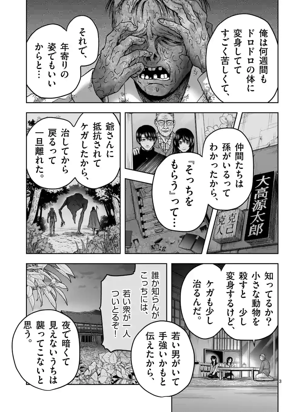 ページ 3 — 第13話