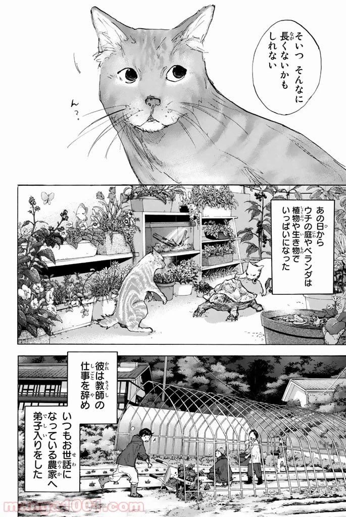 ページ 21 — 第253話
