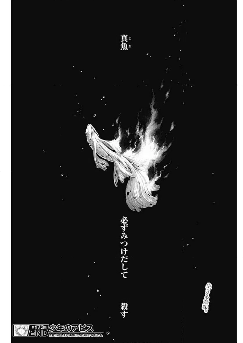 ページ 20 — 第173話