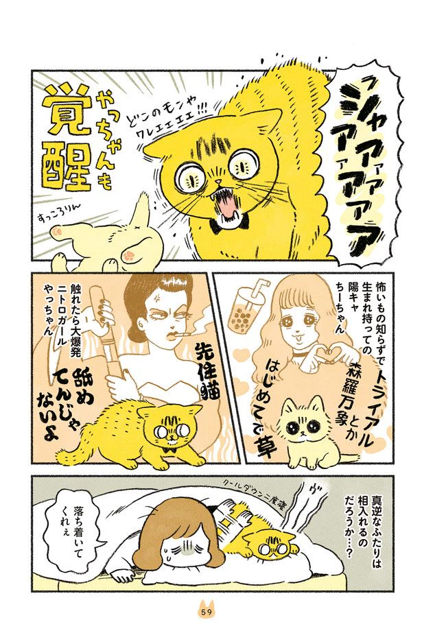 ページ 3 — 第23話