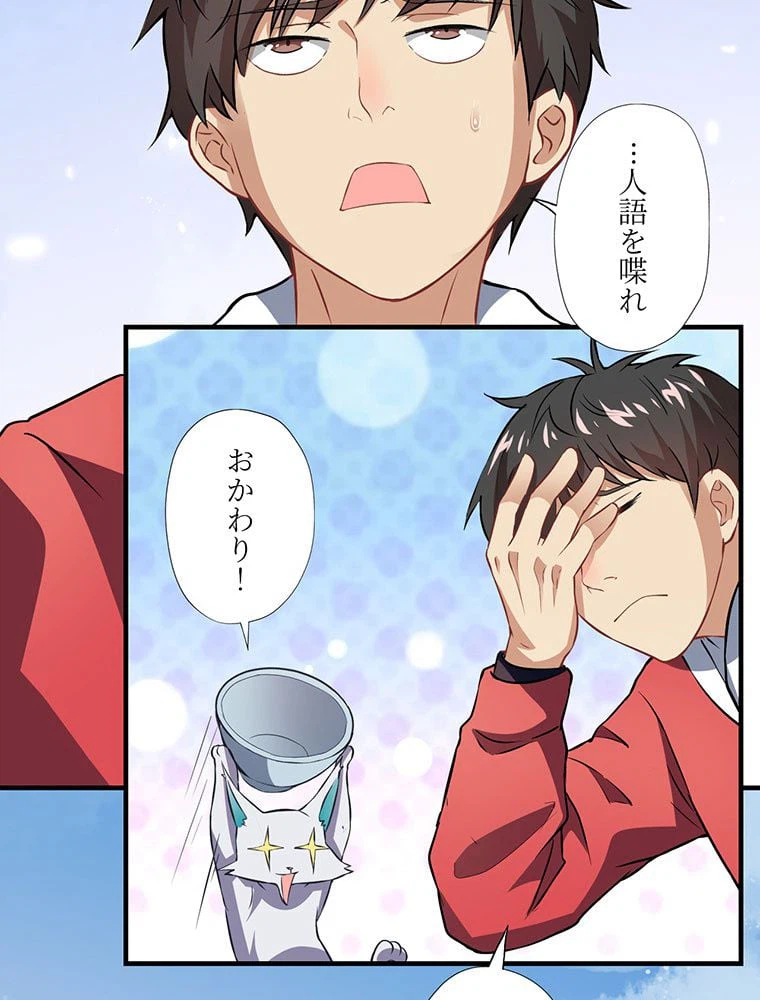 ページ 25 — 第43話