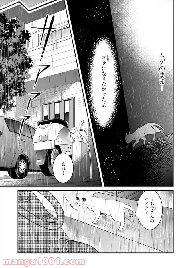 ページ 13 — 第8話