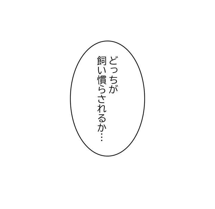 ページ 10 — 第13話
