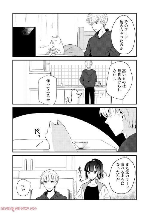 ページ 5 — 第13話