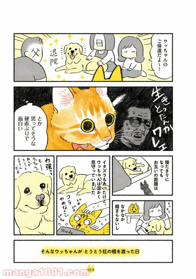 ページ 3 — 第13話