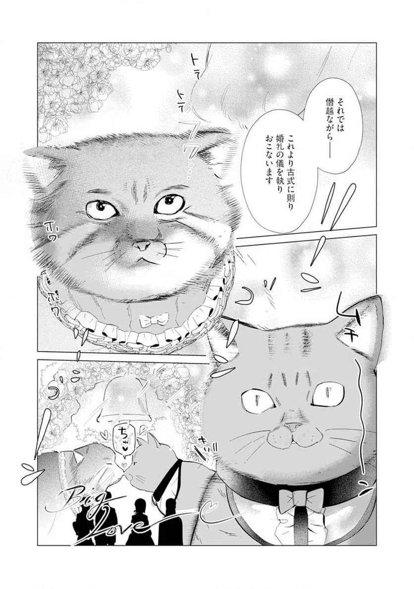 ページ 28 — 第5話