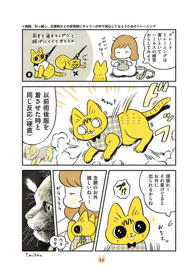 ページ 3 — 第19話