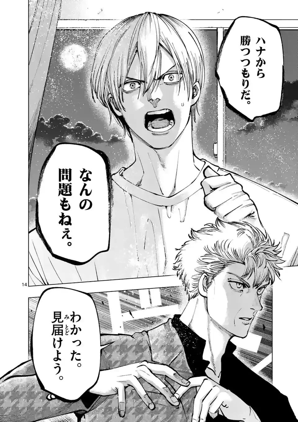 ページ 14 — 第238話