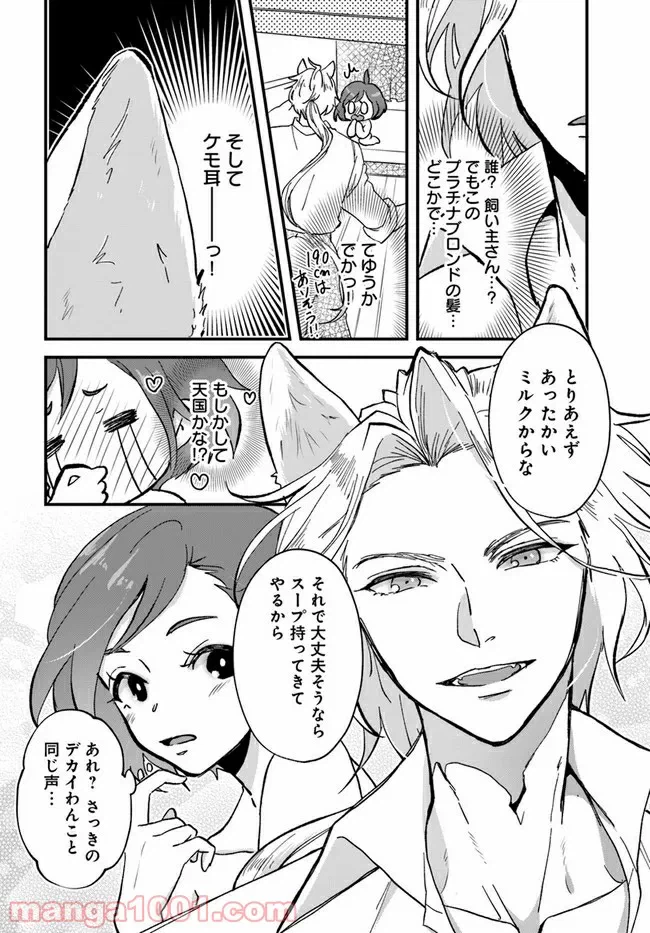 ページ 12 — 第1.1話
