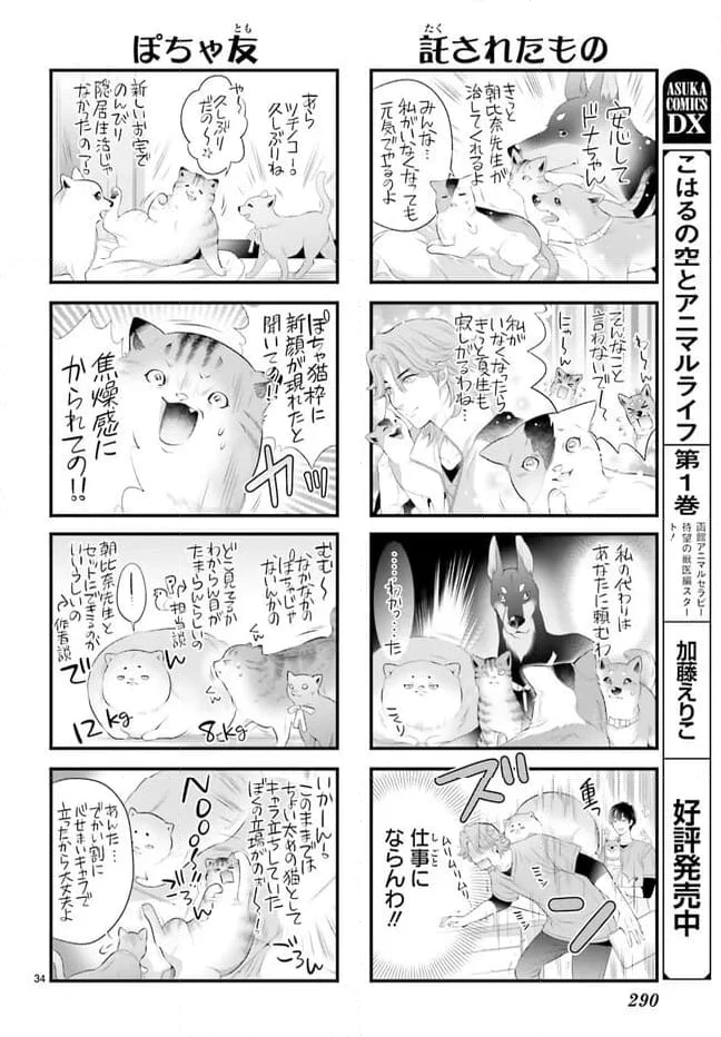 ページ 34 — 第12話