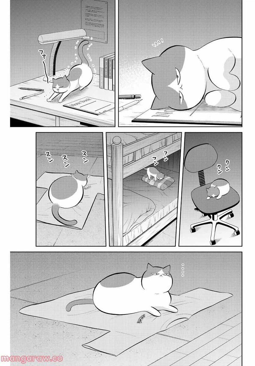 ページ 3 — 第37話