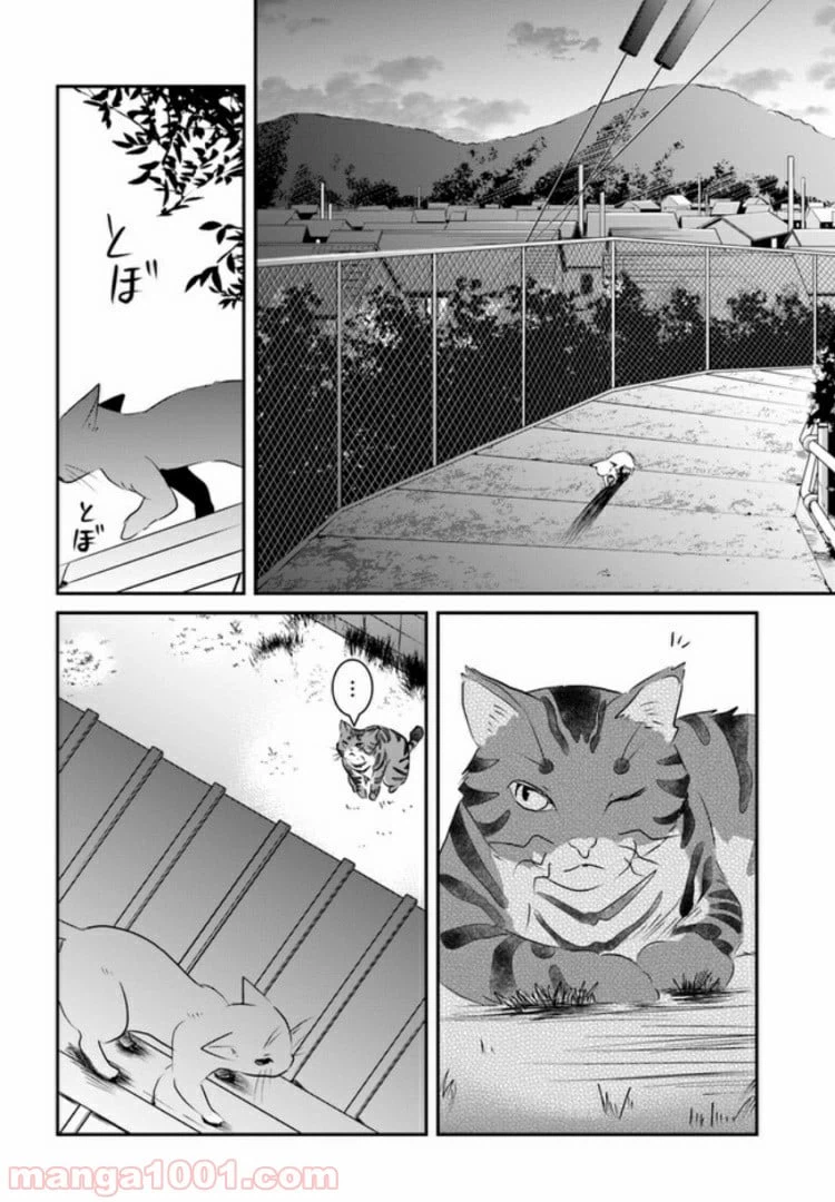ページ 29 — 第4話
