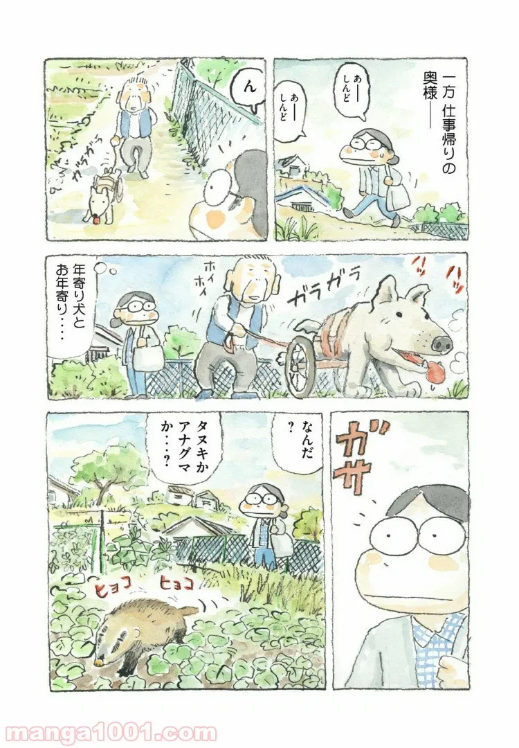 ページ 5 — 第46話