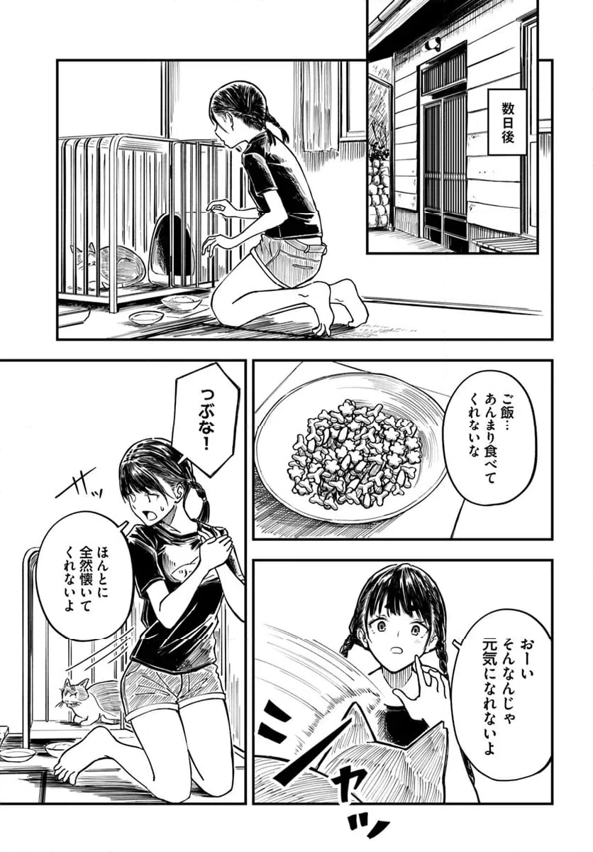 ページ 13 — 第11話
