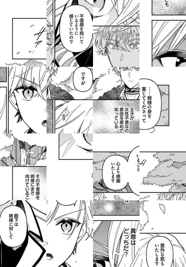 ページ 15 — 第13.3話