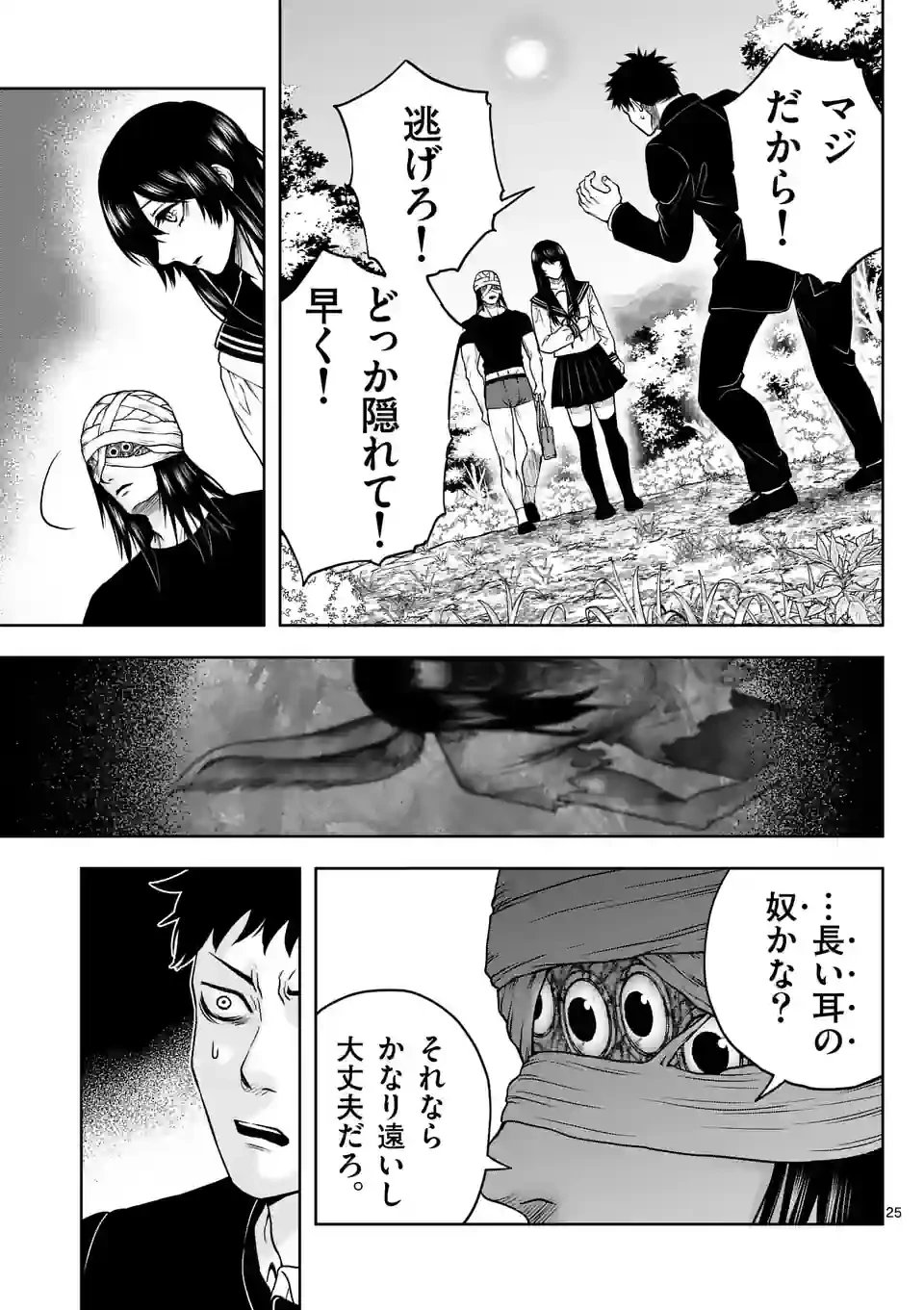 ページ 25 — 第3話