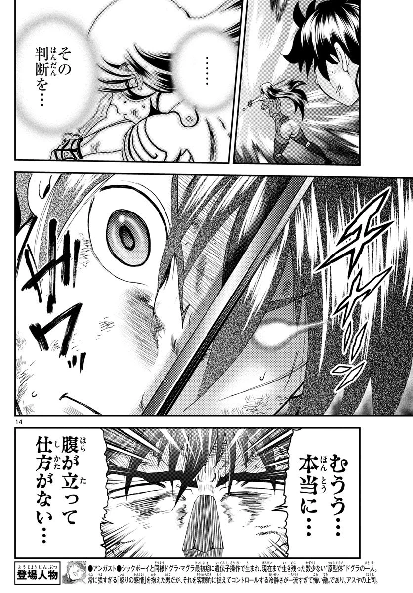 ページ 14 — 第205話