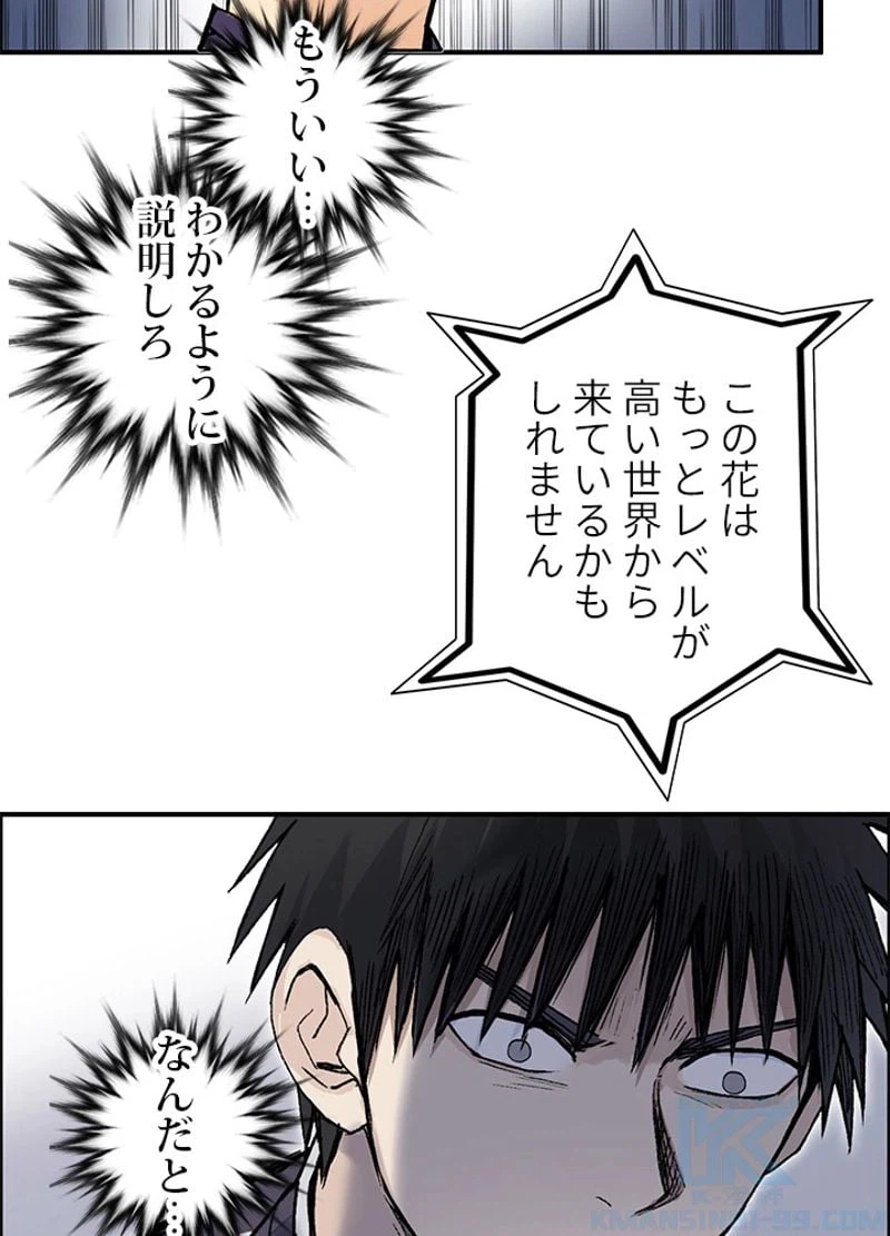 ページ 13 — 第255話