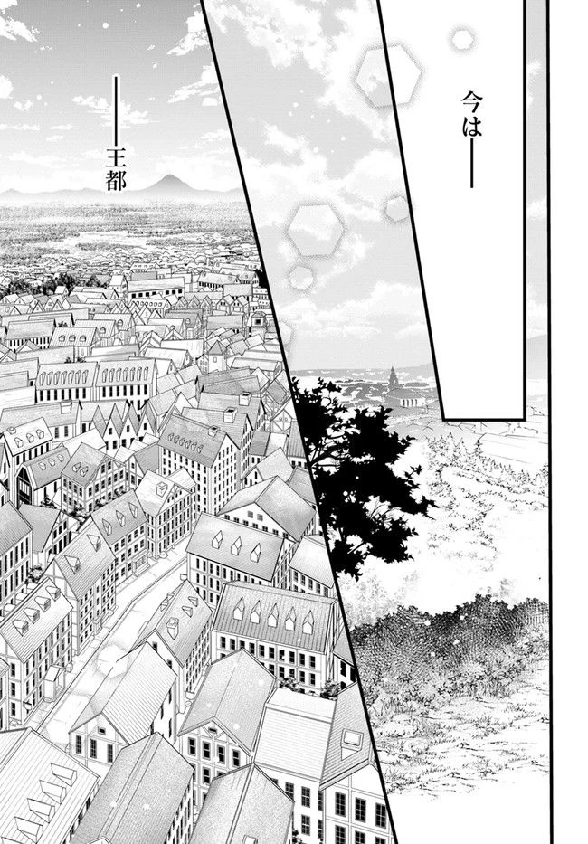 ページ 5 — 第6.3話