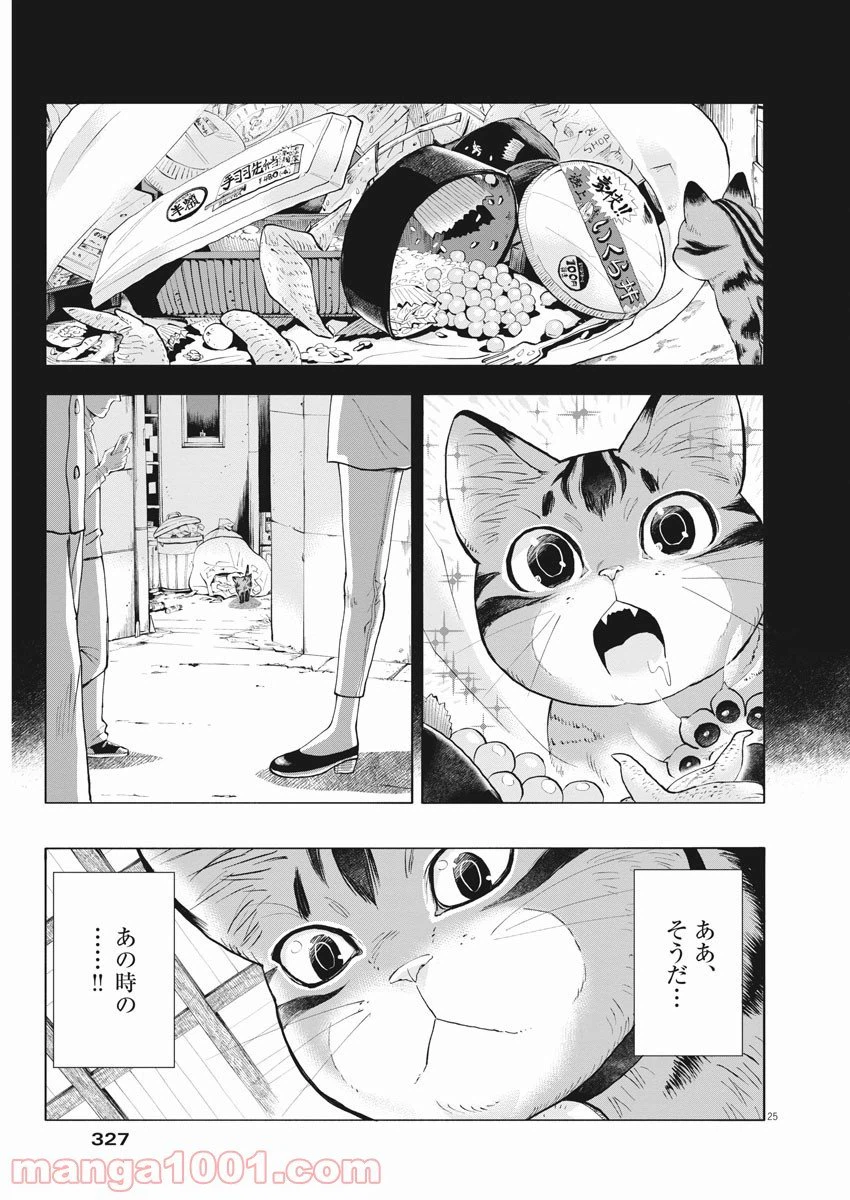 ページ 25 — 第2話
