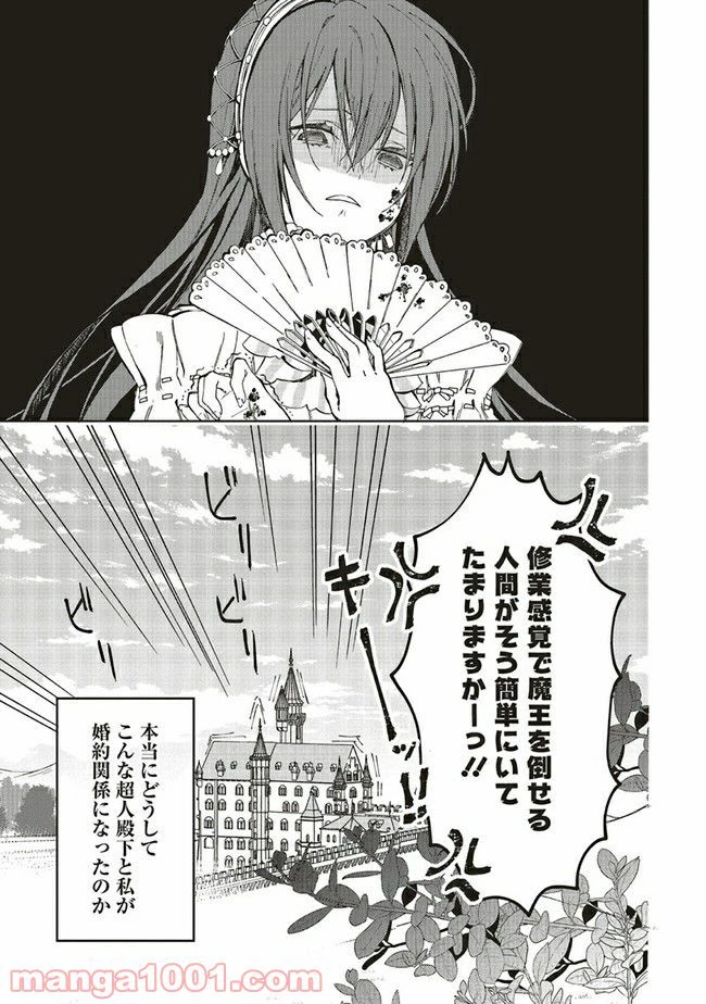 ページ 14 — 第1.1話