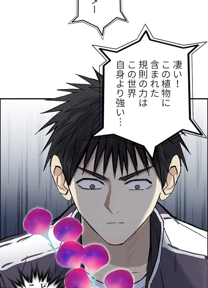 ページ 11 — 第255話