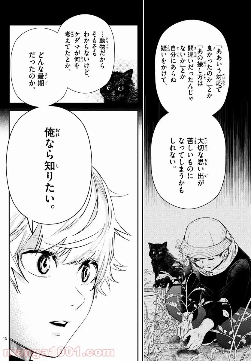 ページ 12 — 第5話