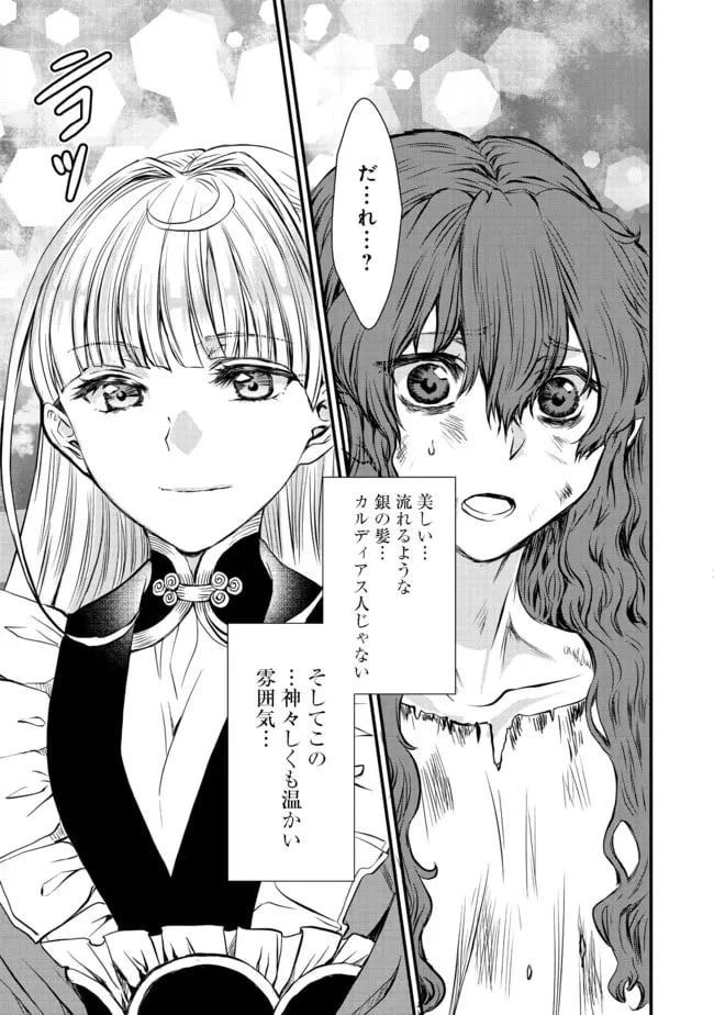 ページ 21 — 第15話