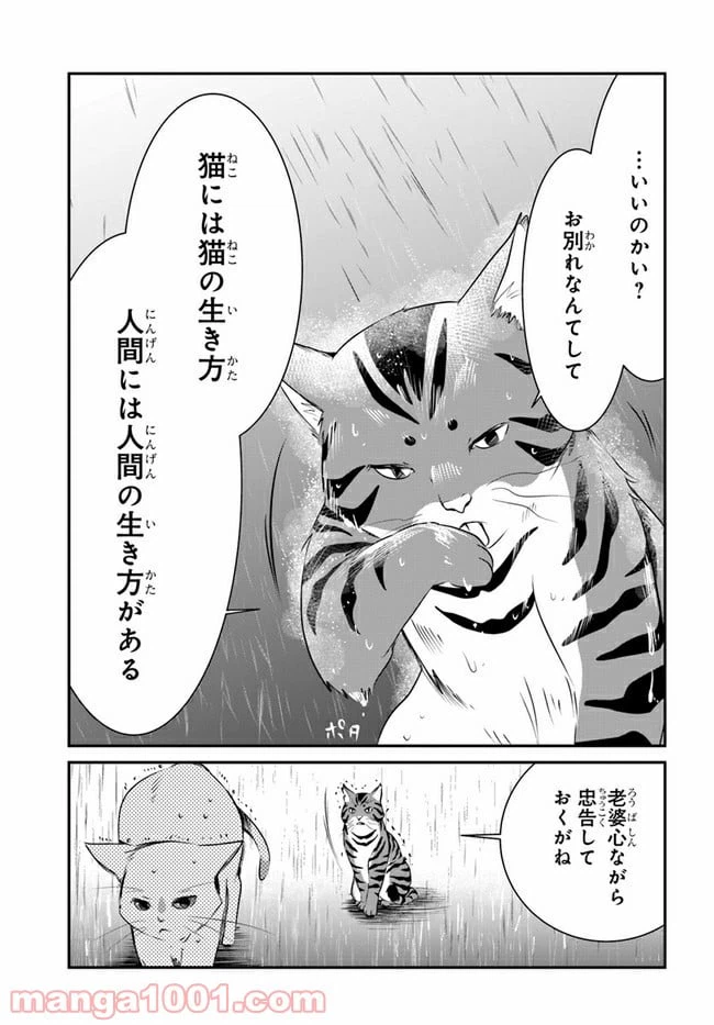ページ 11 — 第8話