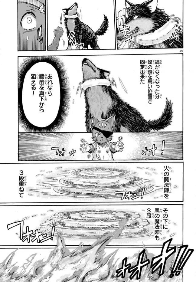 ページ 25 — 第12話