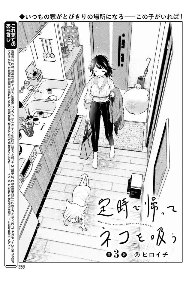 ページ 3 — 第3.1話